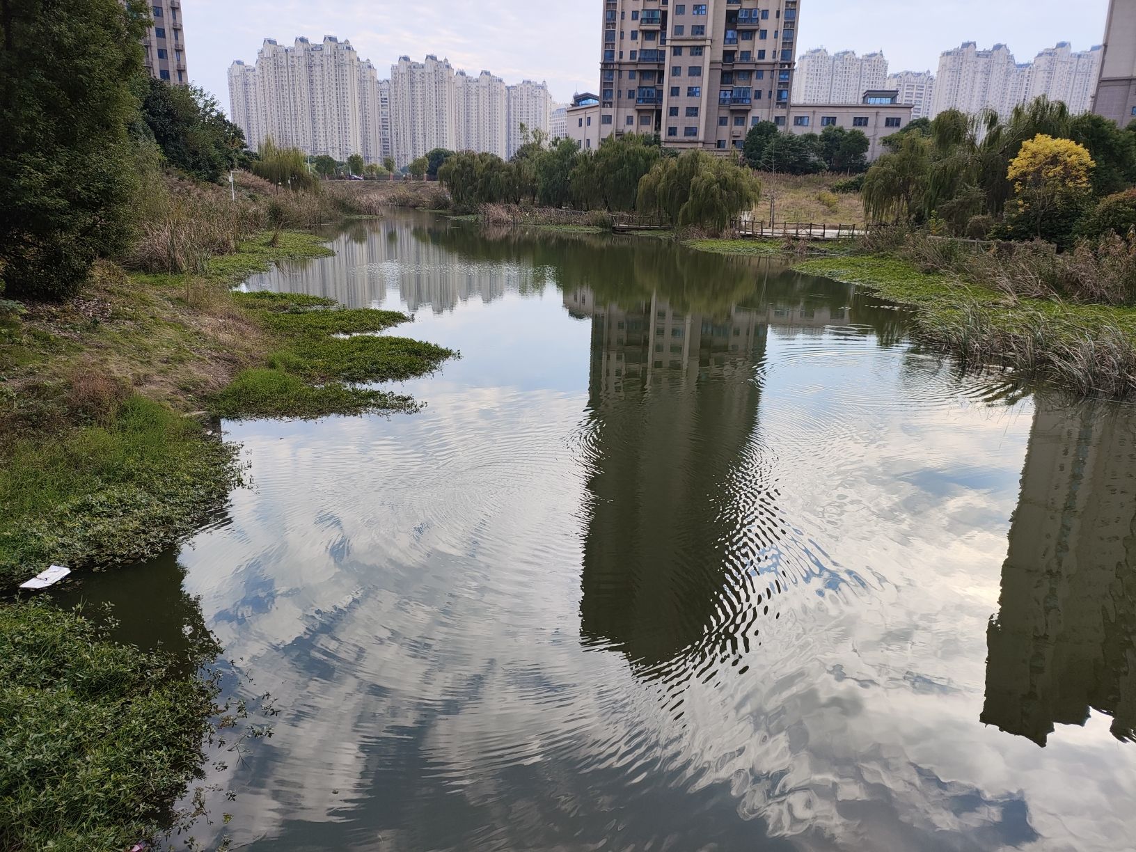 芷兰湾湖公园旅行图片 1