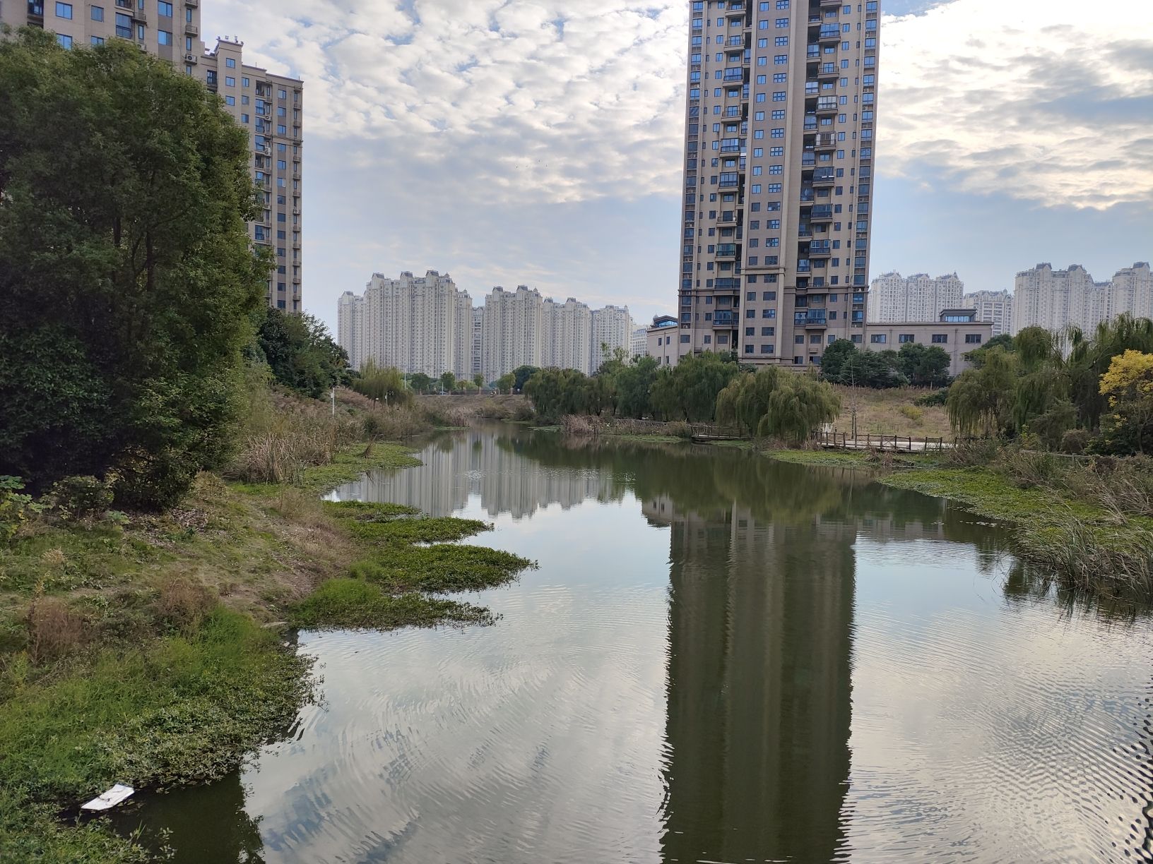 芷兰湾湖公园旅行图片 2