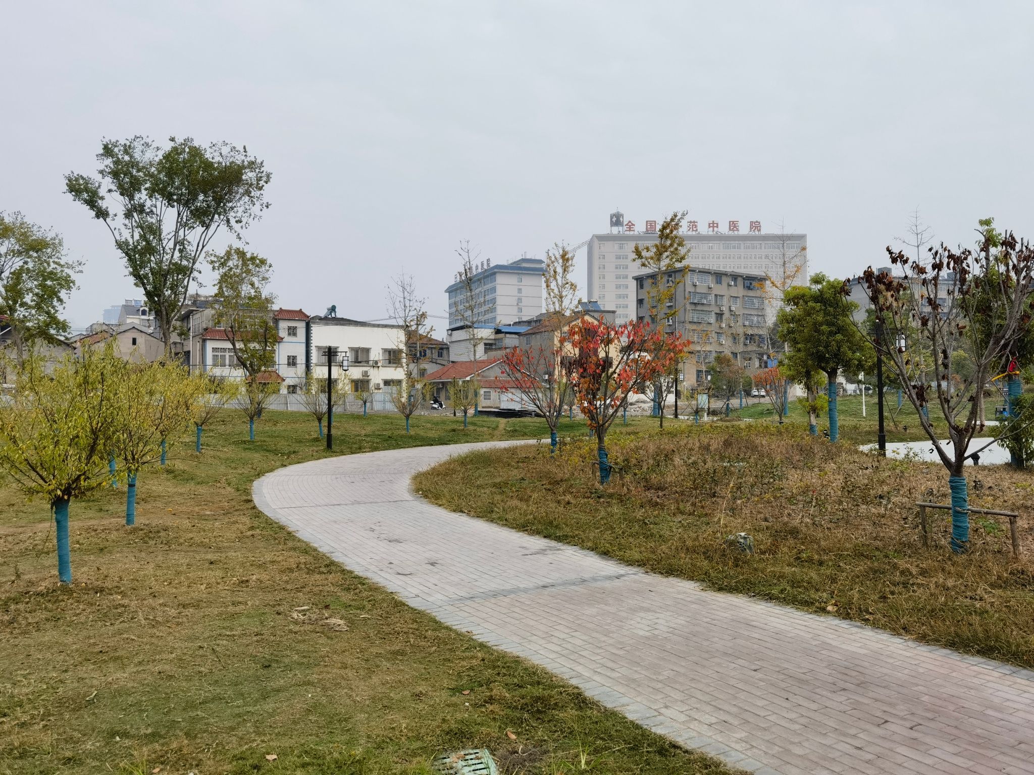 梅园公园旅行图片 3