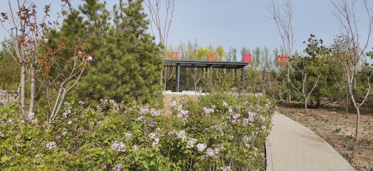 兴墕公园旅行图片 3