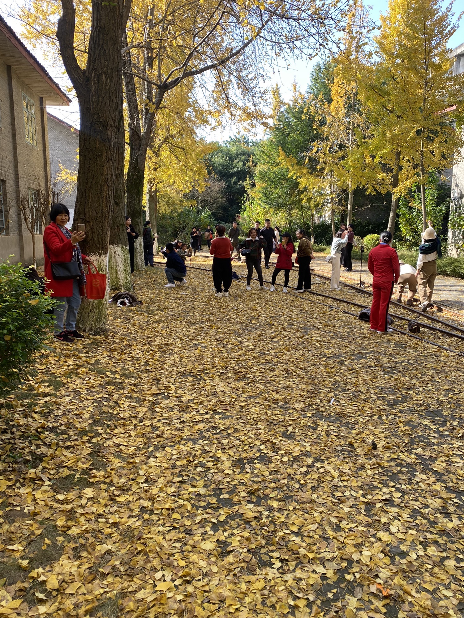 六合丝绸博览园旅行图片 3