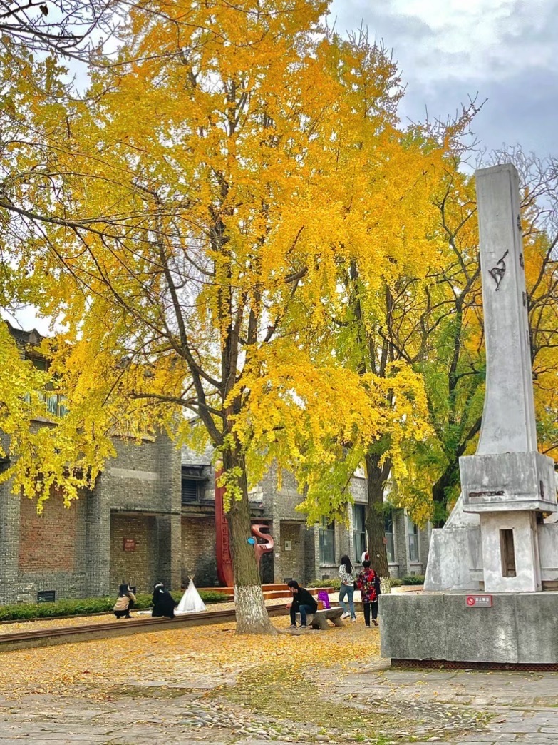 六合丝绸博览园旅行图片 1