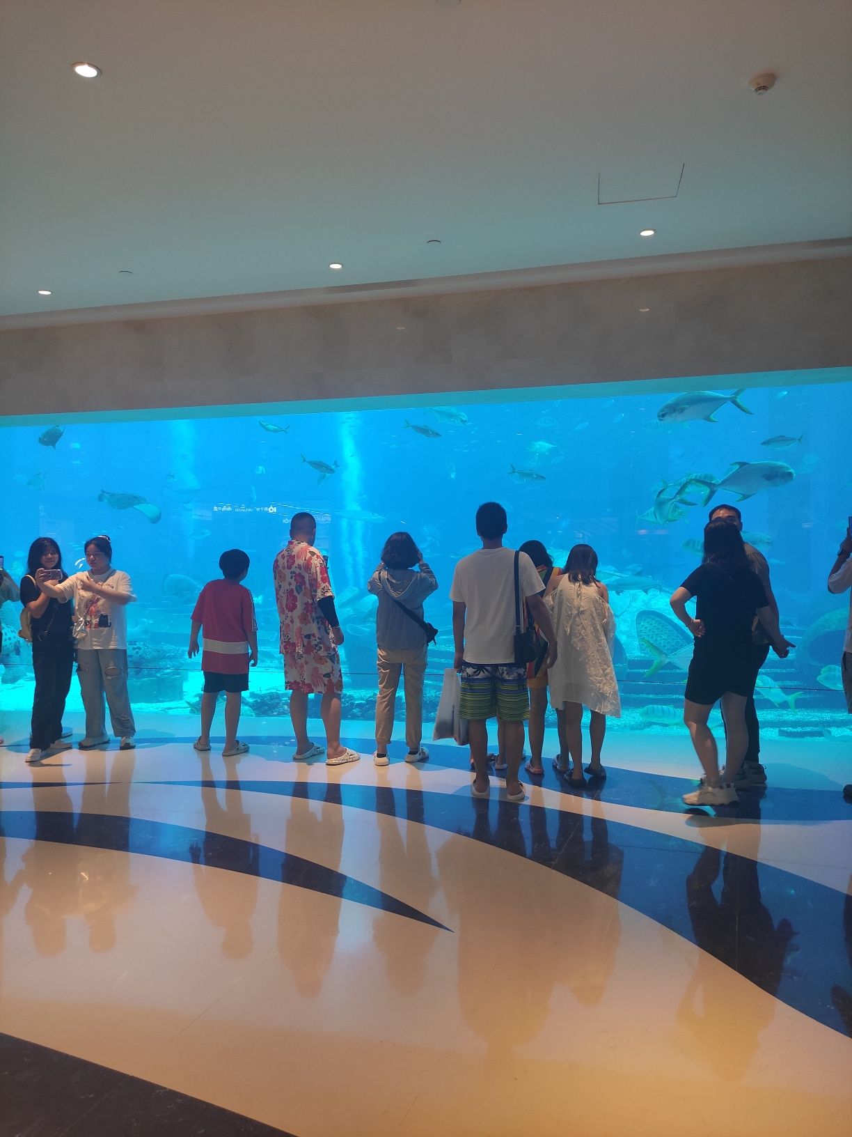 三亚亚特兰蒂斯景区旅行图片 3