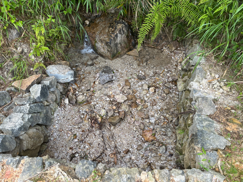法雲律寺旅行图片 2