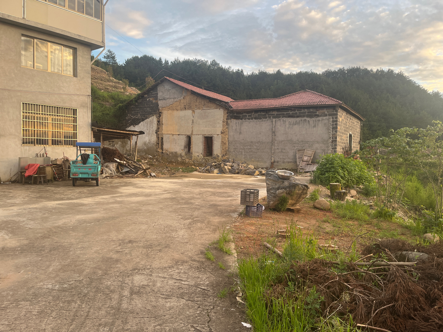 法雲律寺旅行图片 1