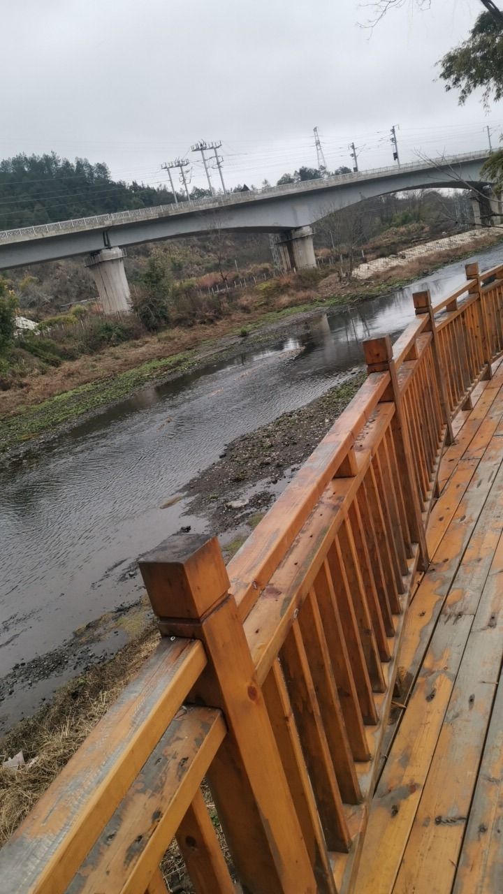 新里村稻鱼共生旅行图片