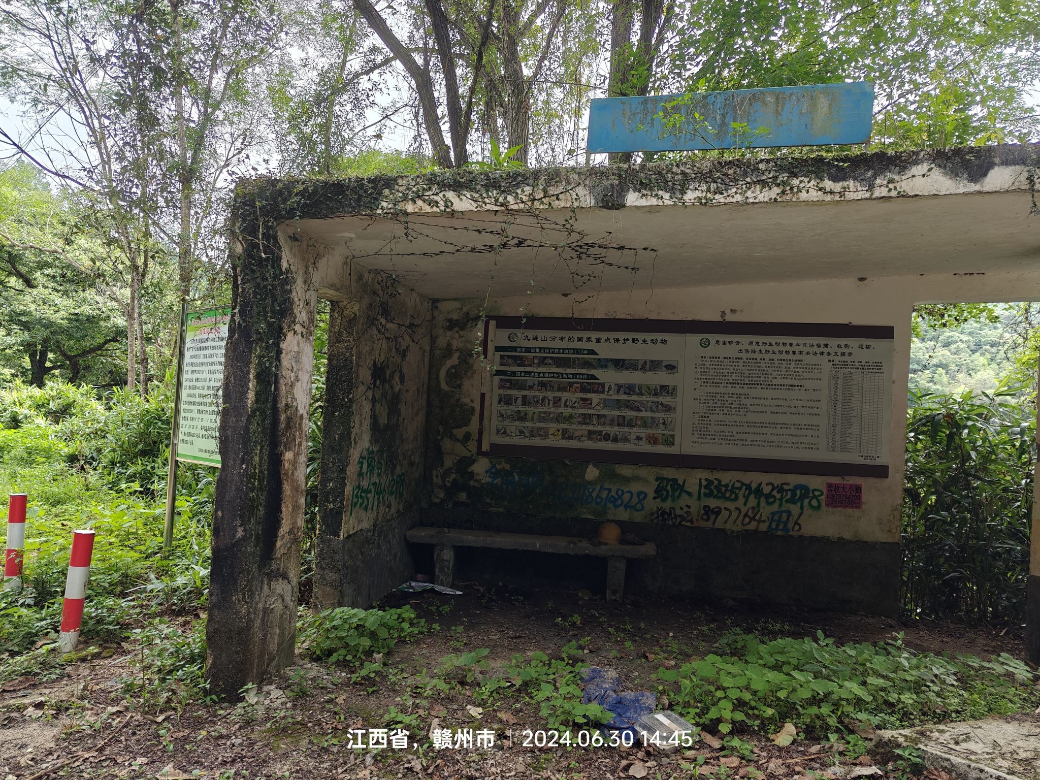 九连山国家森林公园旅行图片 3