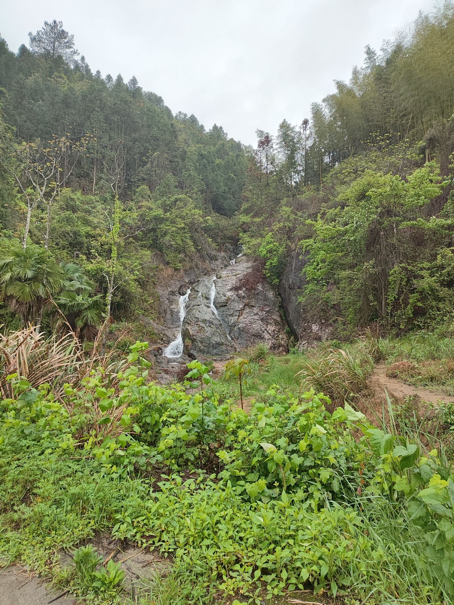 九连山国家森林公园旅行图片 3