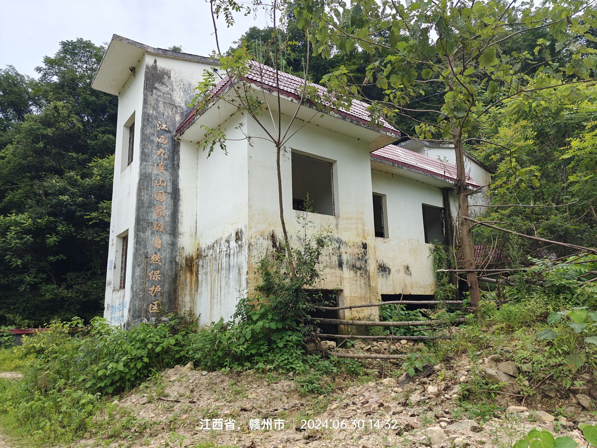 九连山国家森林公园旅行图片 2