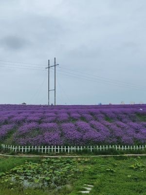 溪南十锦锦绣田园旅行图片 3