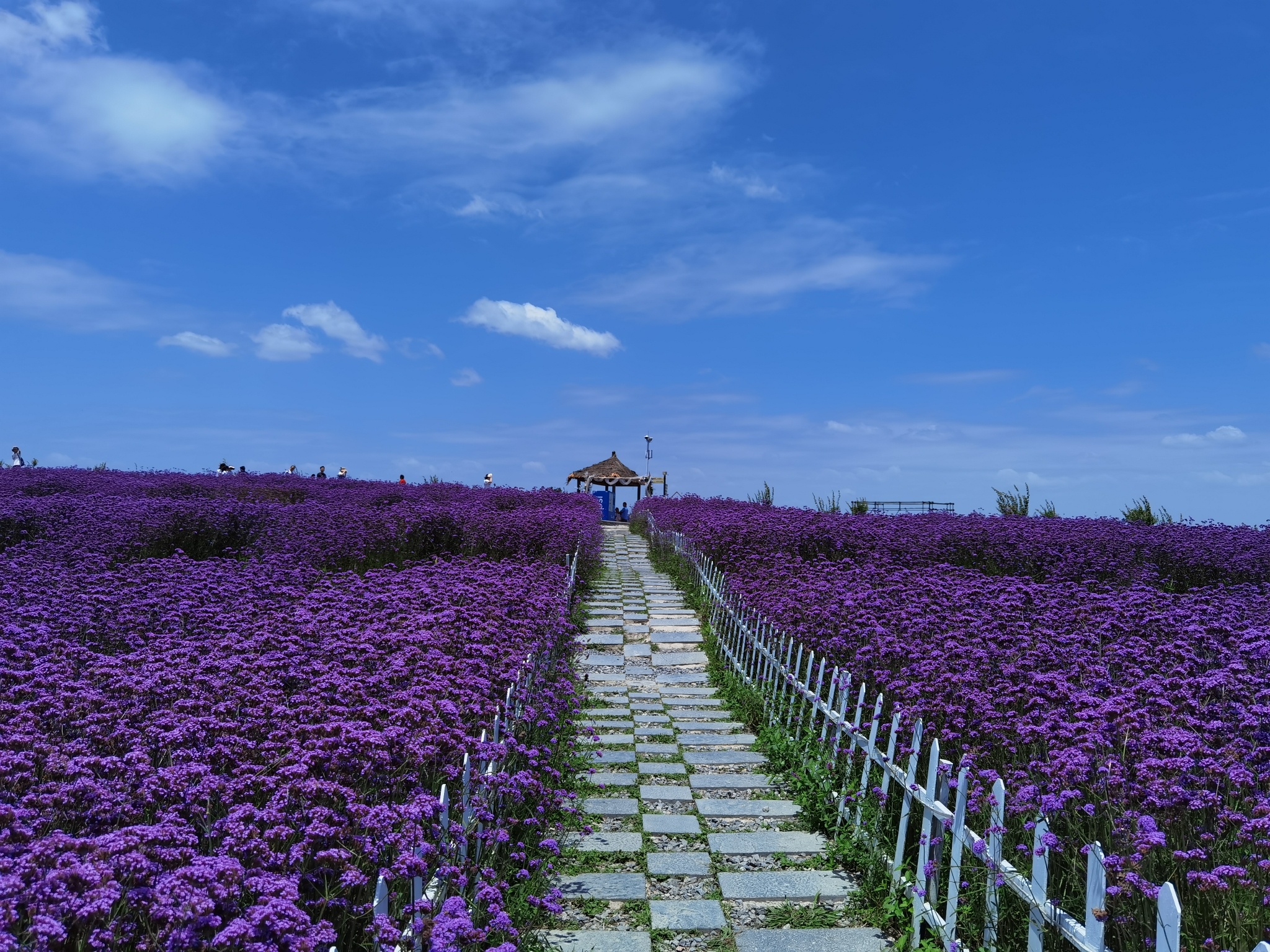 溪南十锦锦绣田园旅行图片 2