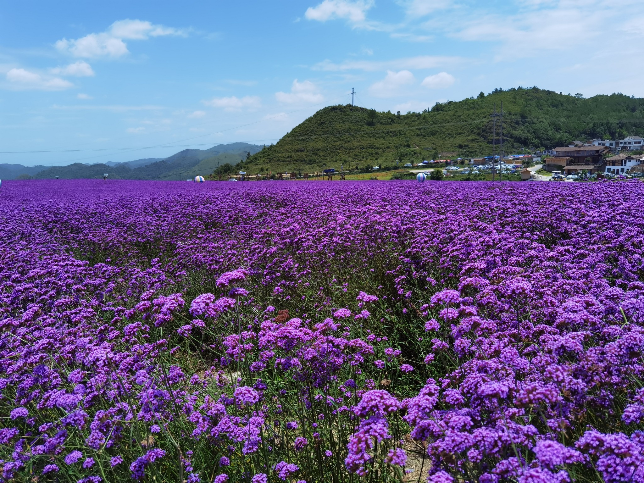 溪南十锦锦绣田园旅行图片 1
