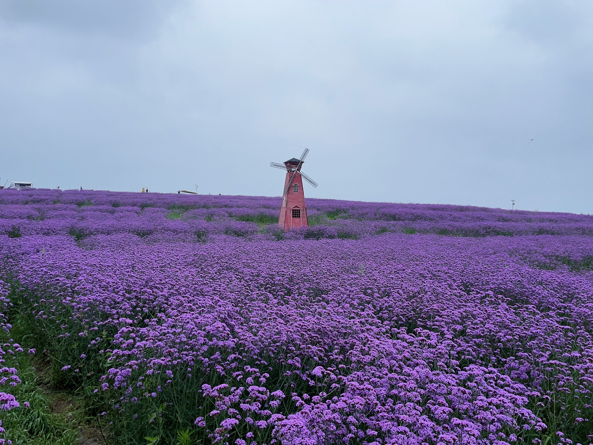 溪南十锦锦绣田园旅行图片 3