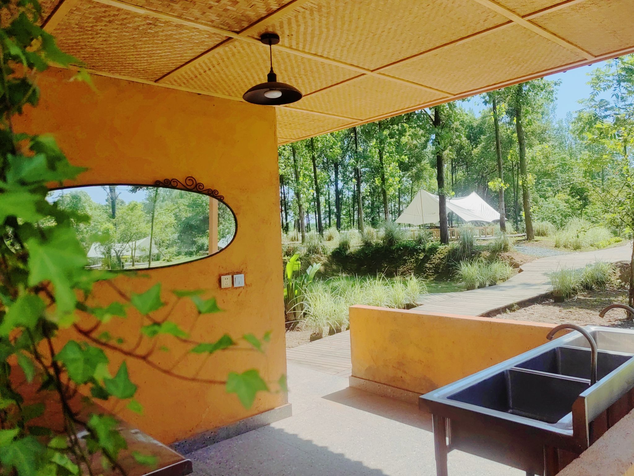 场地封面-阳林岛露营地