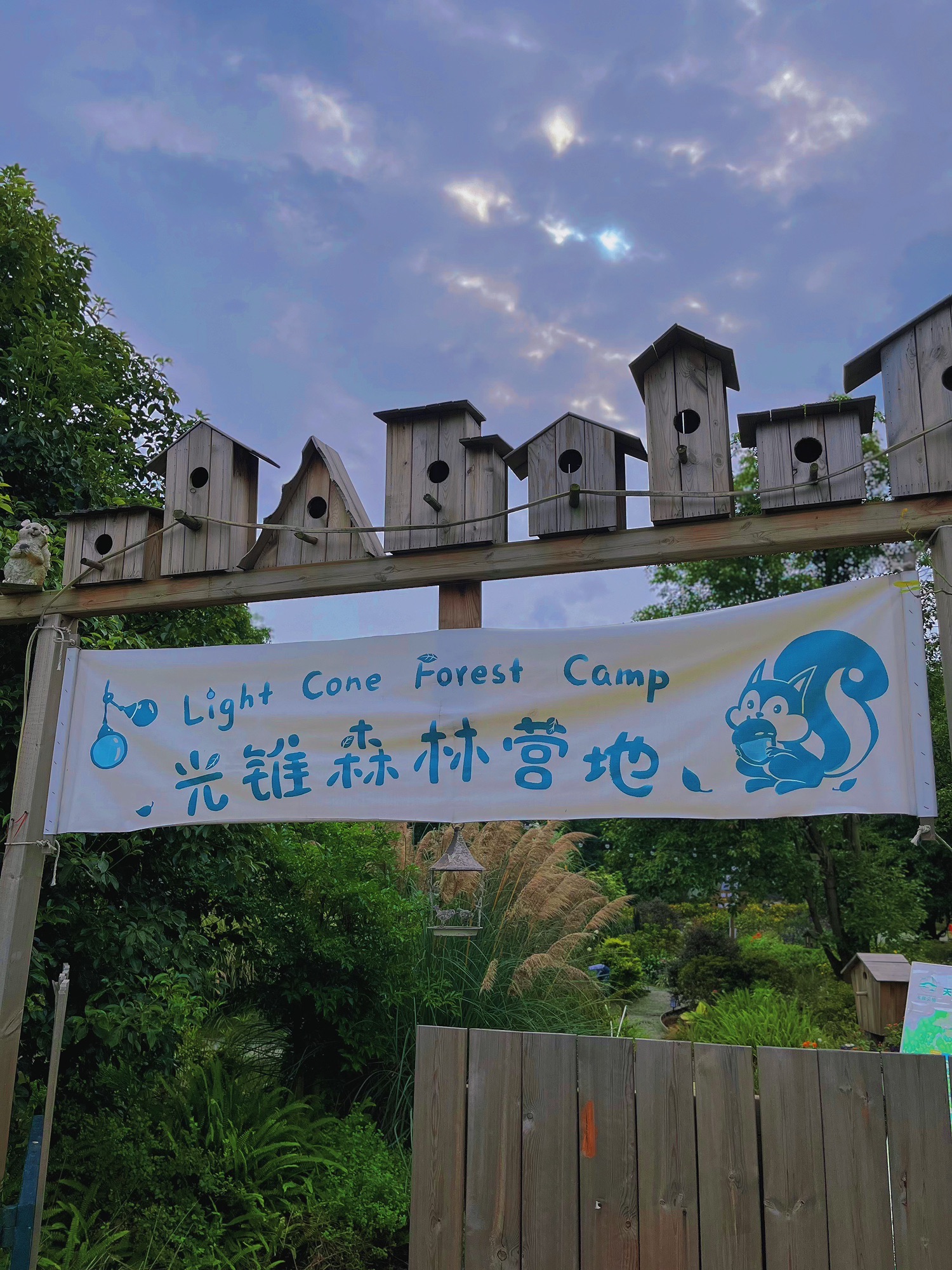 场地封面-光锥森林营地