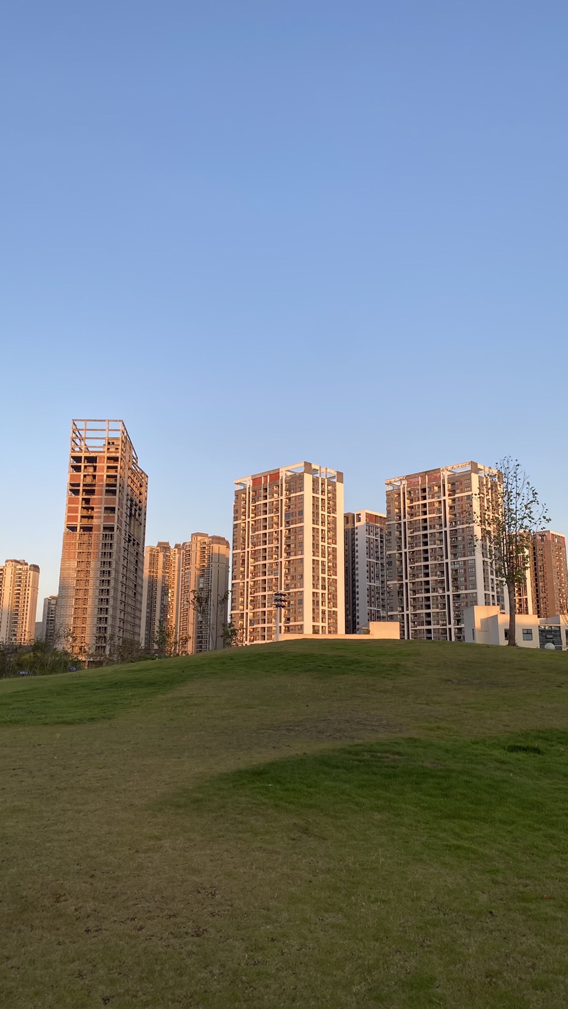 思贤路社区公园旅行图片 1