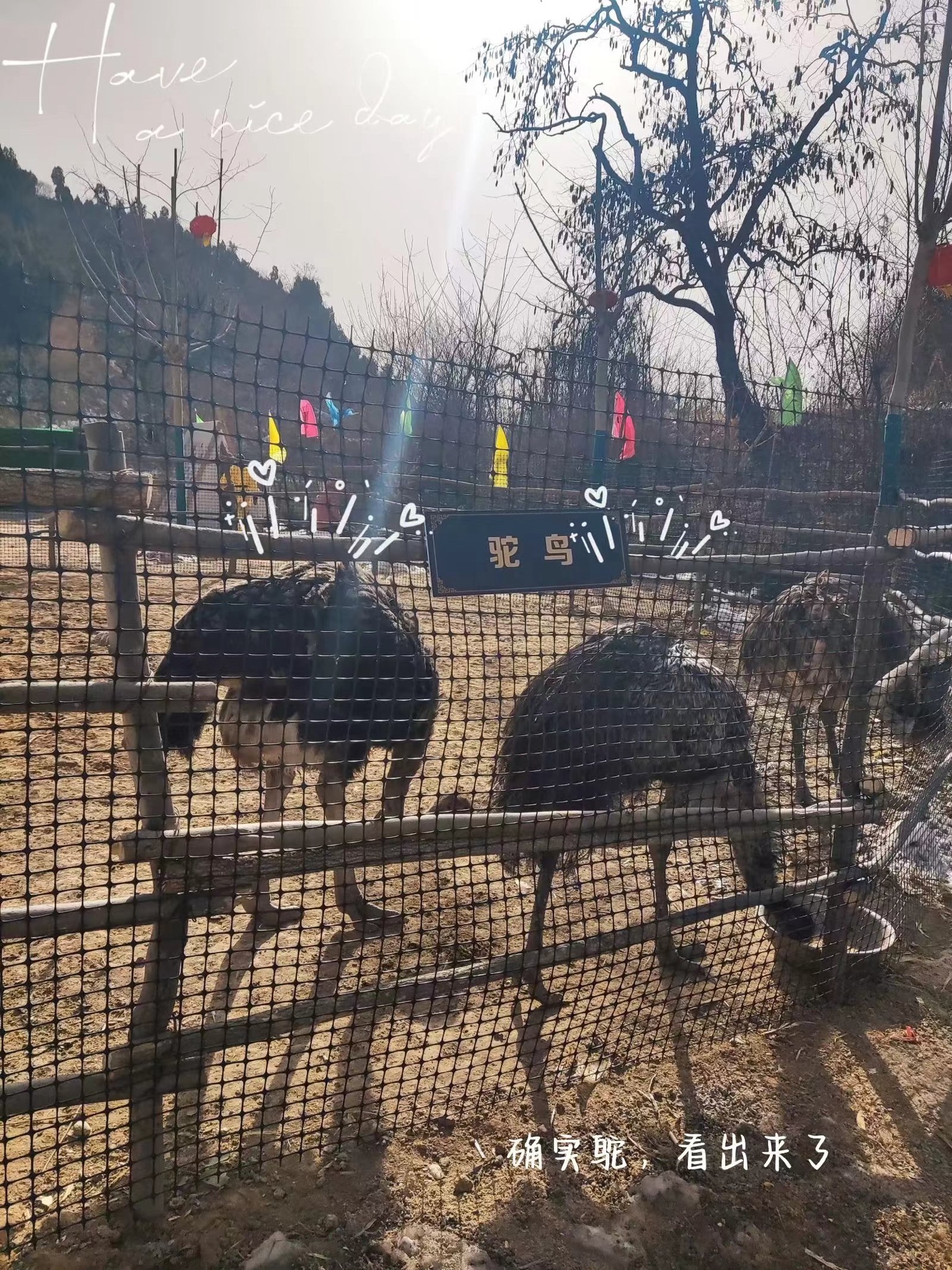 石佛沟景区旅行图片 1