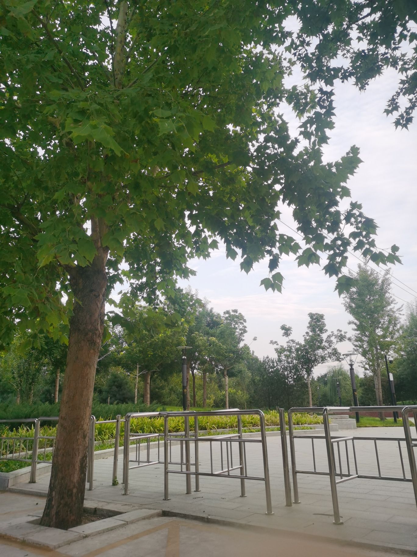 裕翔公园旅行图片 3