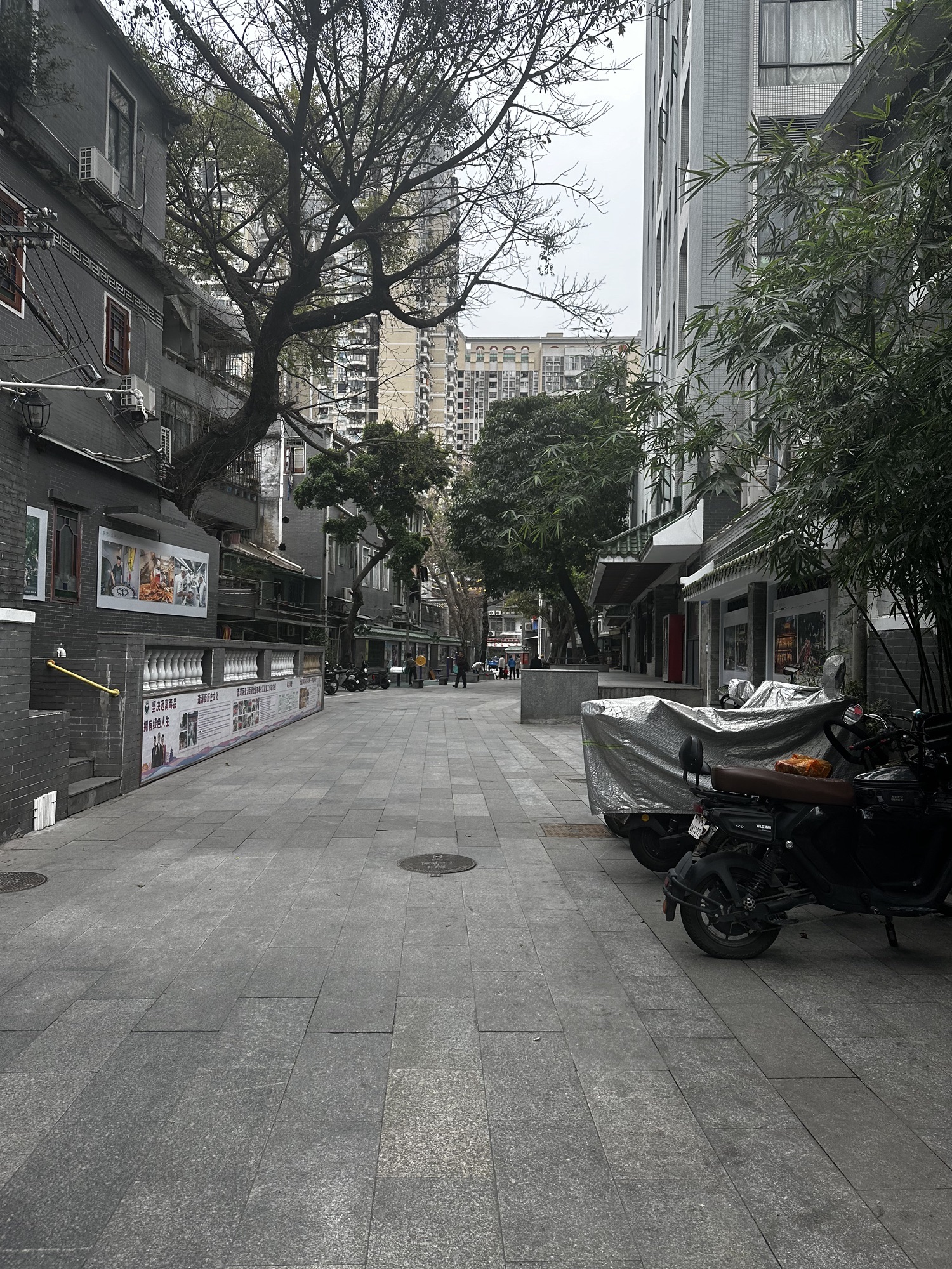 耀华大街历史文化街区旅行图片 2