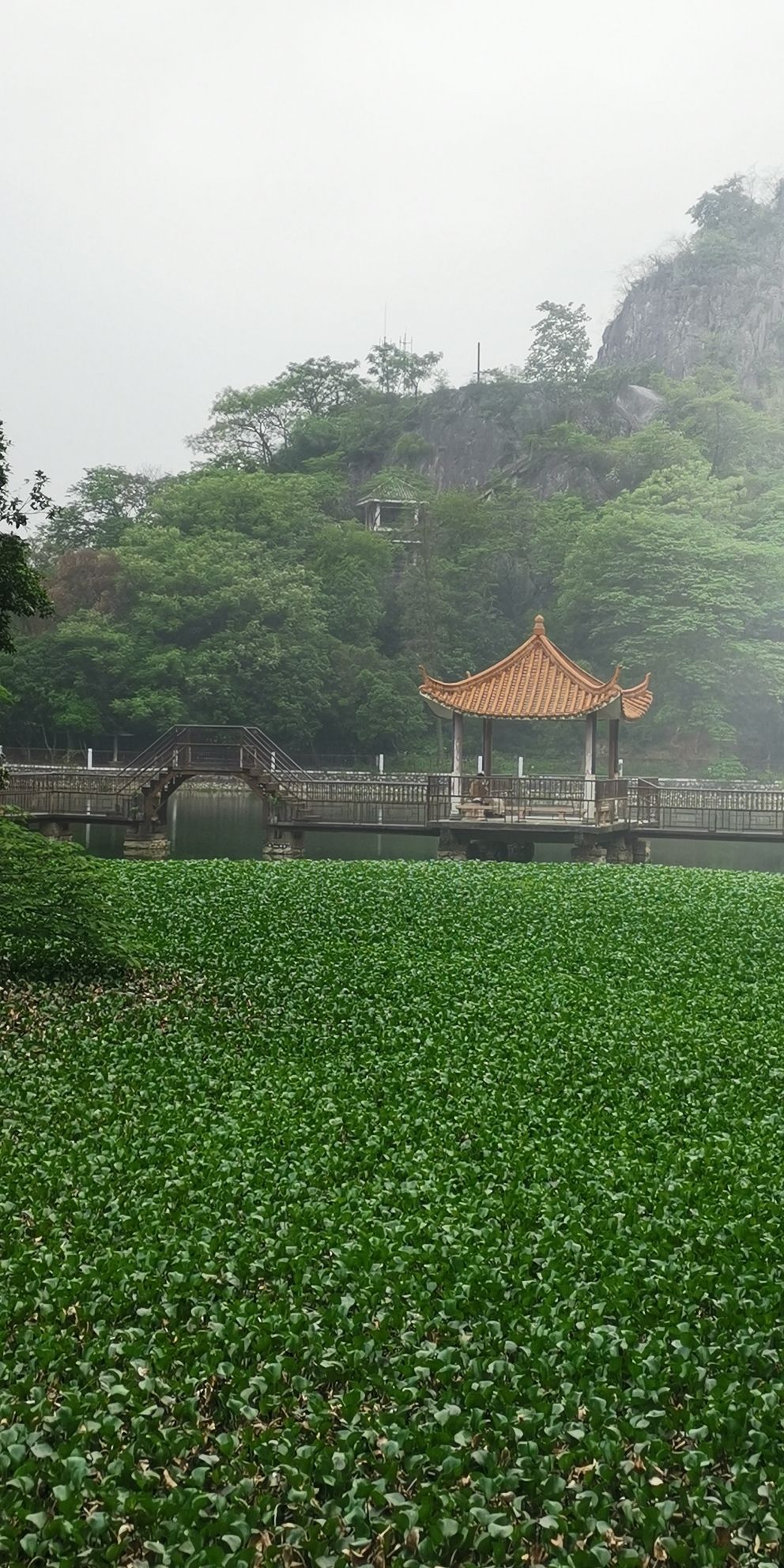 鸭湖公园旅行图片 3