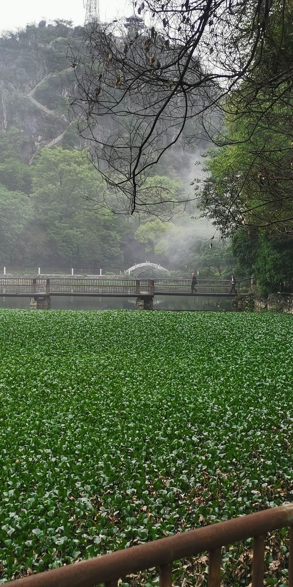 鸭湖公园旅行图片 2