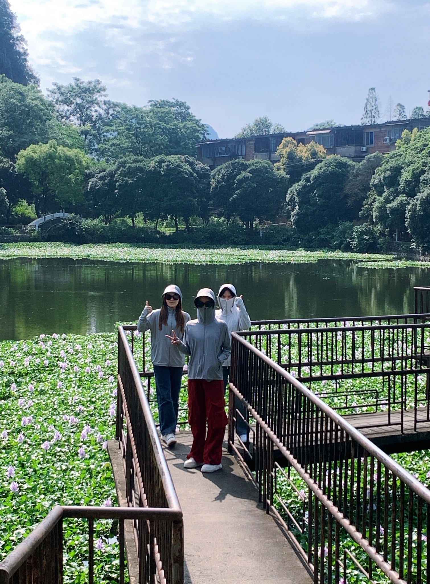 鸭湖公园旅行图片 2