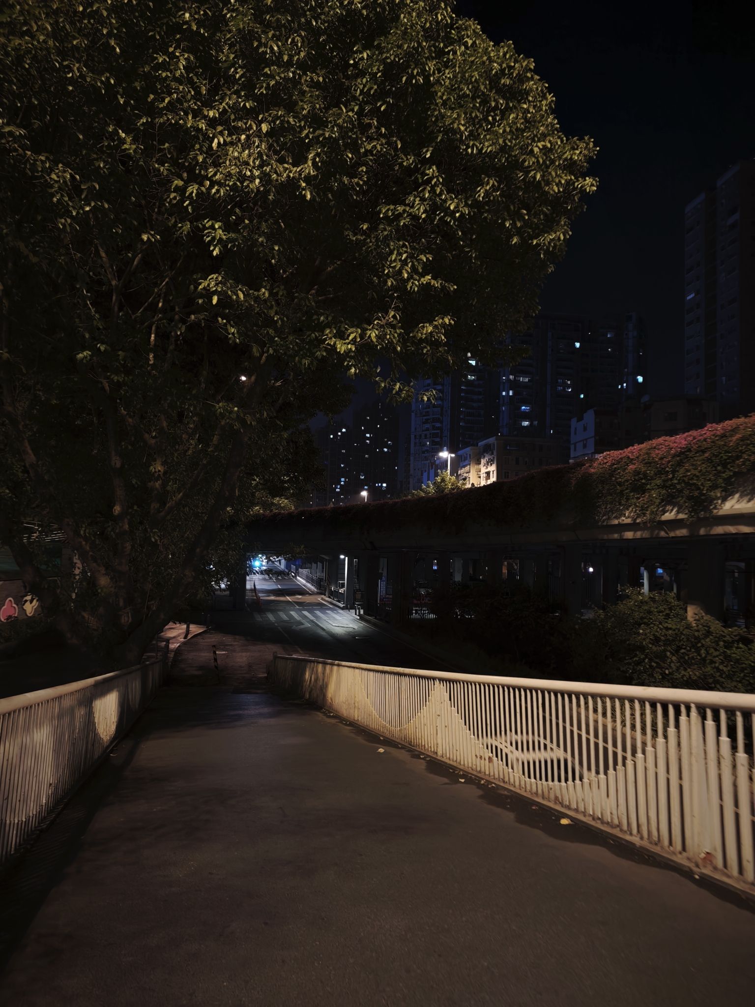 珠江广州河段历史风貌区旅行图片 2