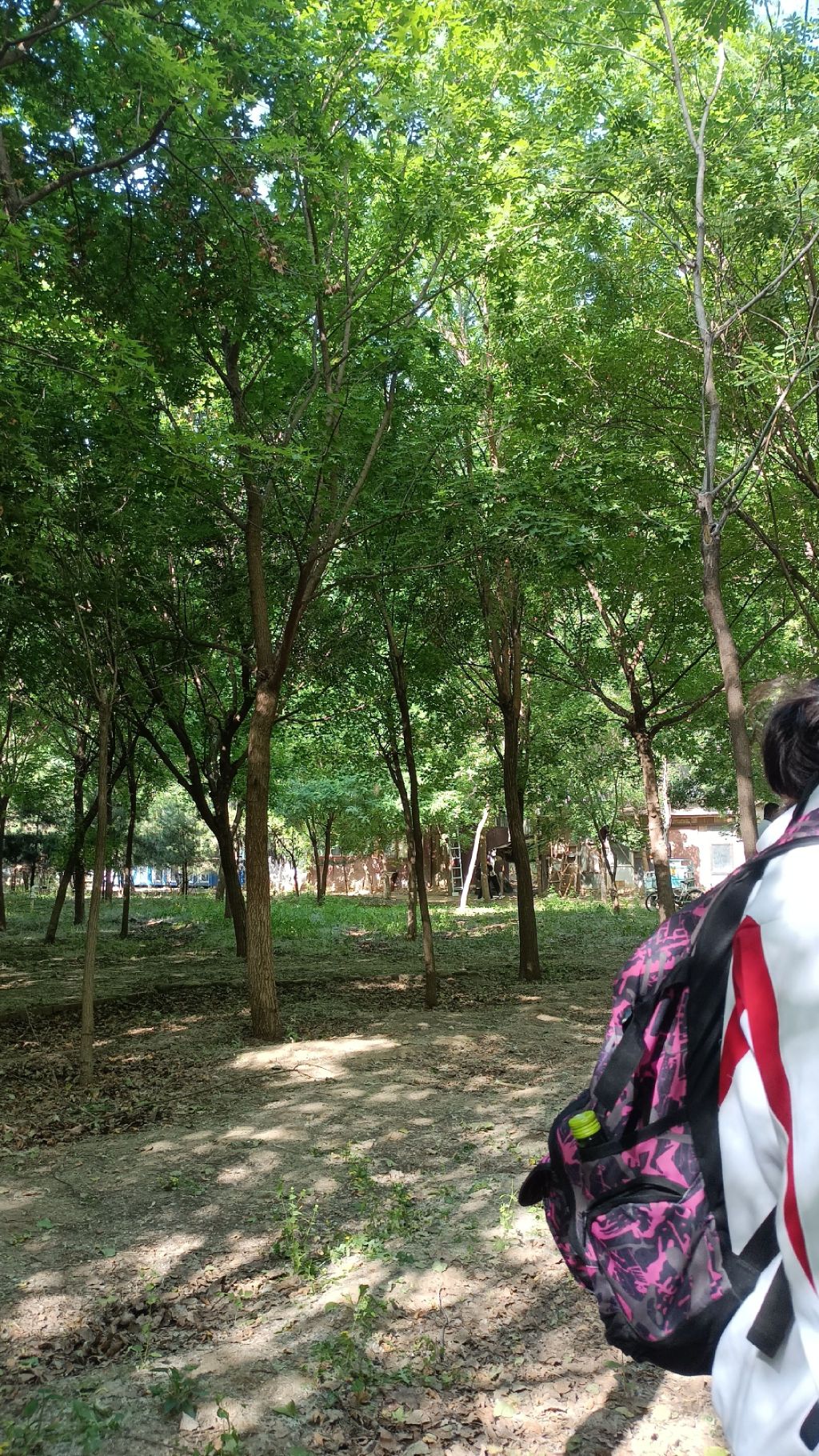 九洑地民俗园旅行图片 1