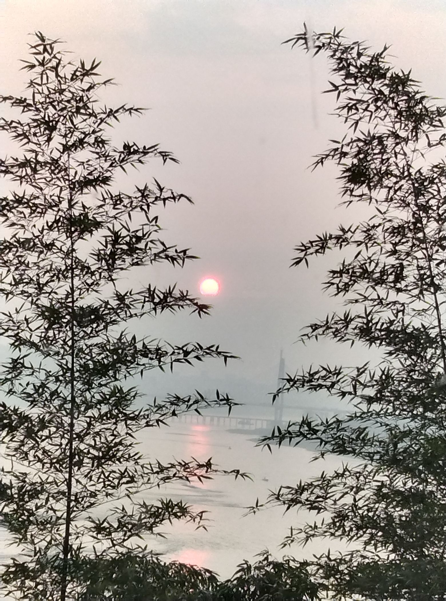 华阳山生态农业观光中心旅行图片 1