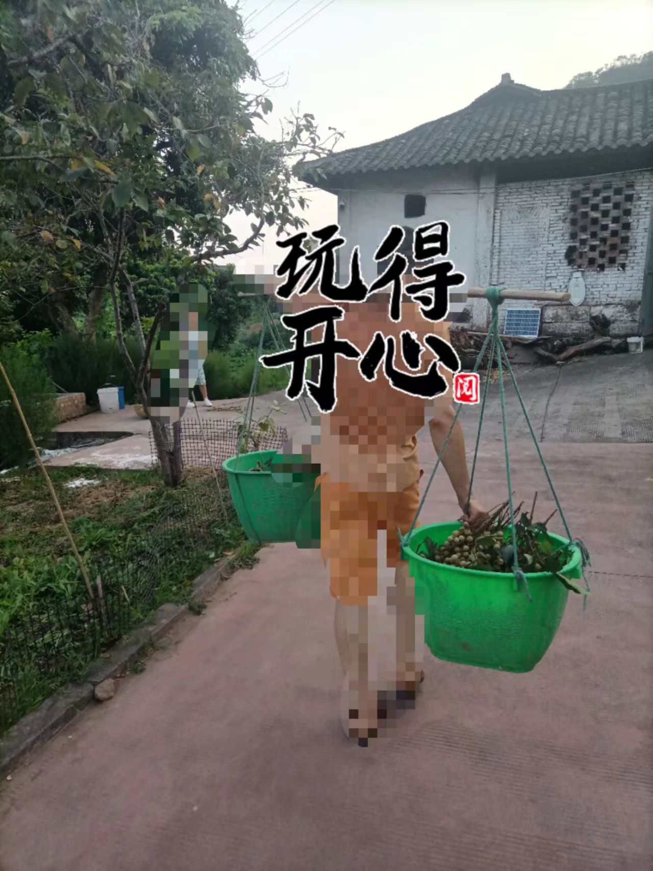 华阳山生态农业观光中心旅行图片 2