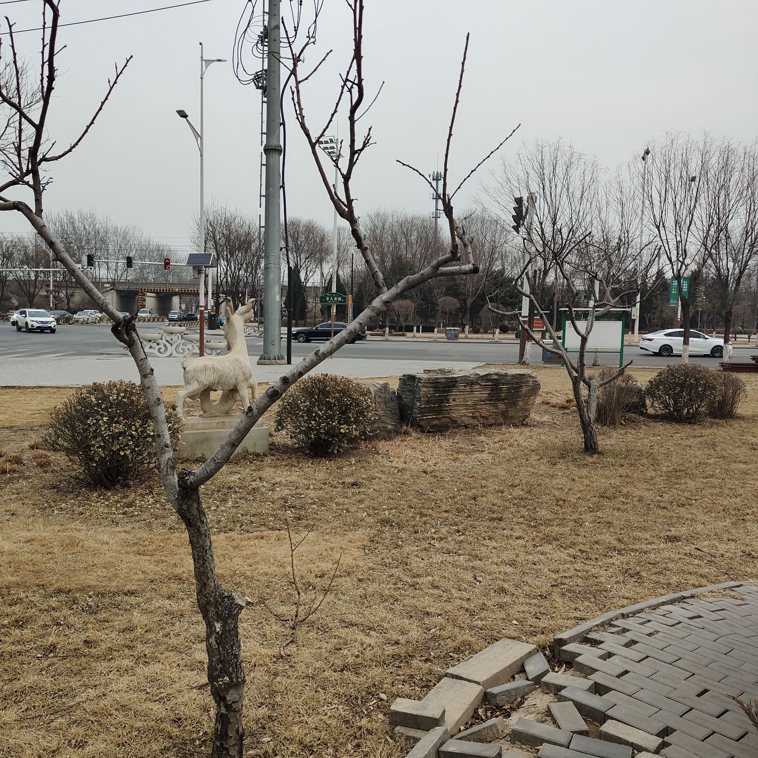 小公园旅行图片 2
