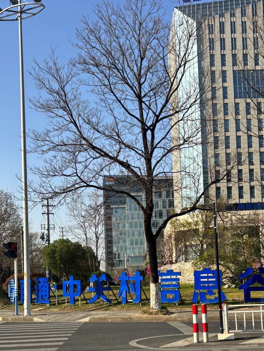 南通·中关村信息谷实景图（2）
