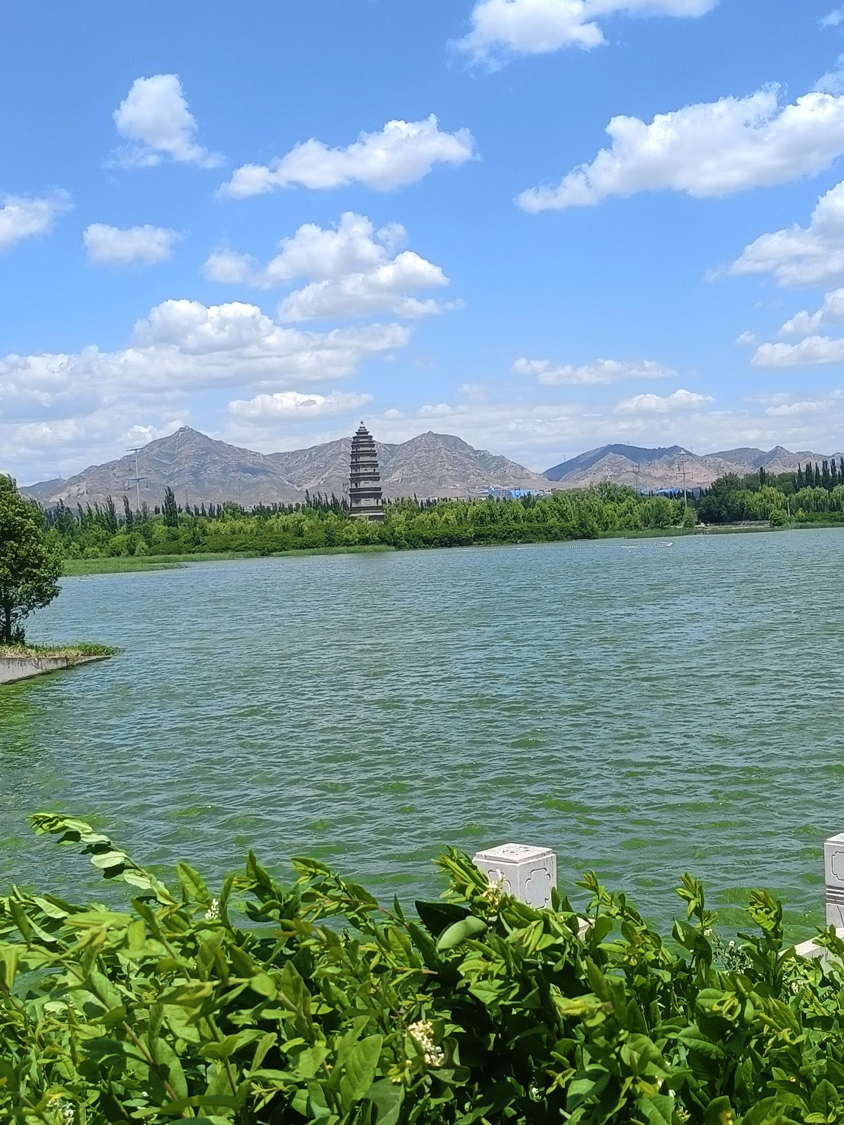 令公塔旅行图片 1