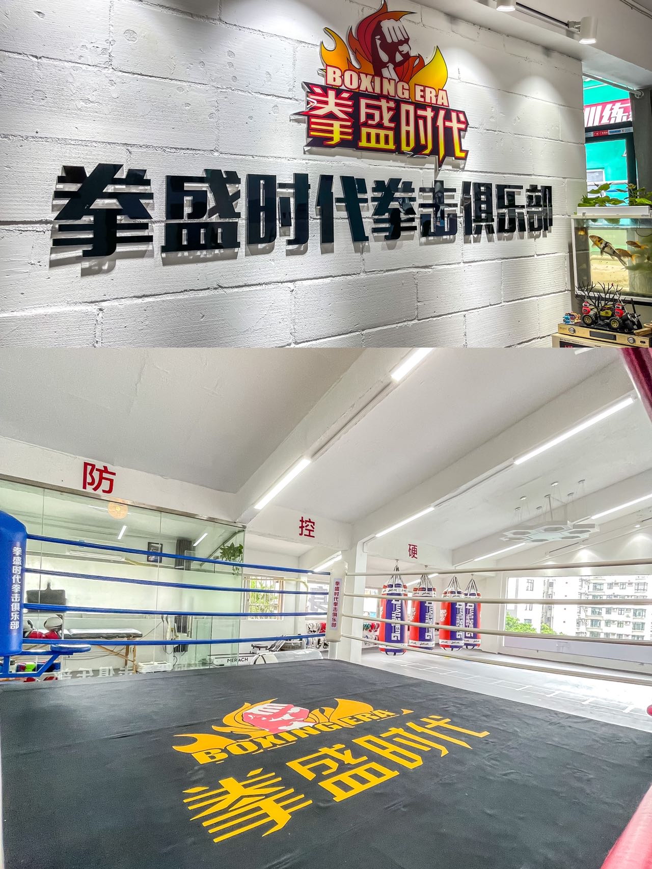 场地封面-拳盛时代拳击俱乐部(南浦店)