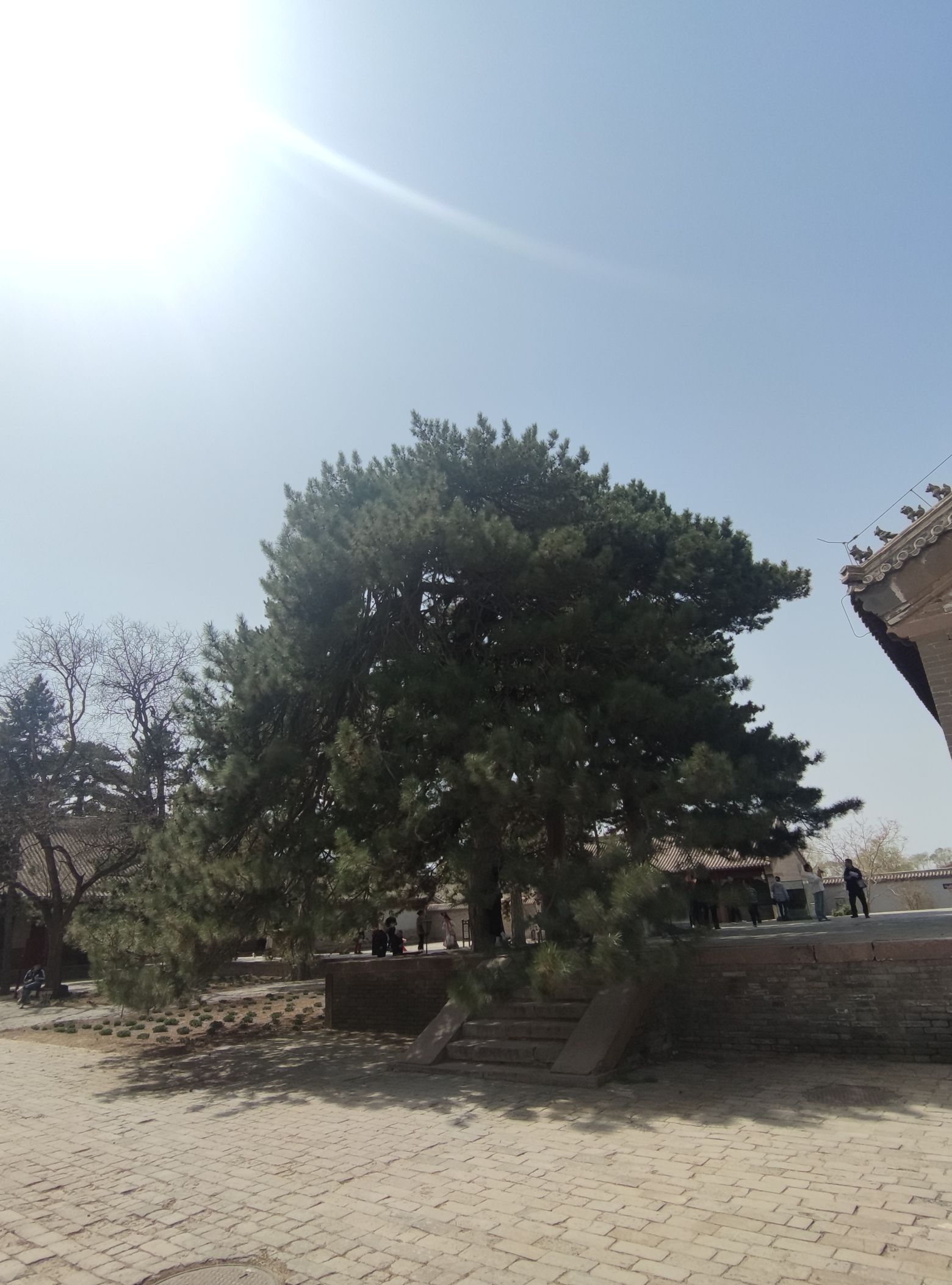 喀喇沁旗锦山禁毒主题公园旅行图片 3