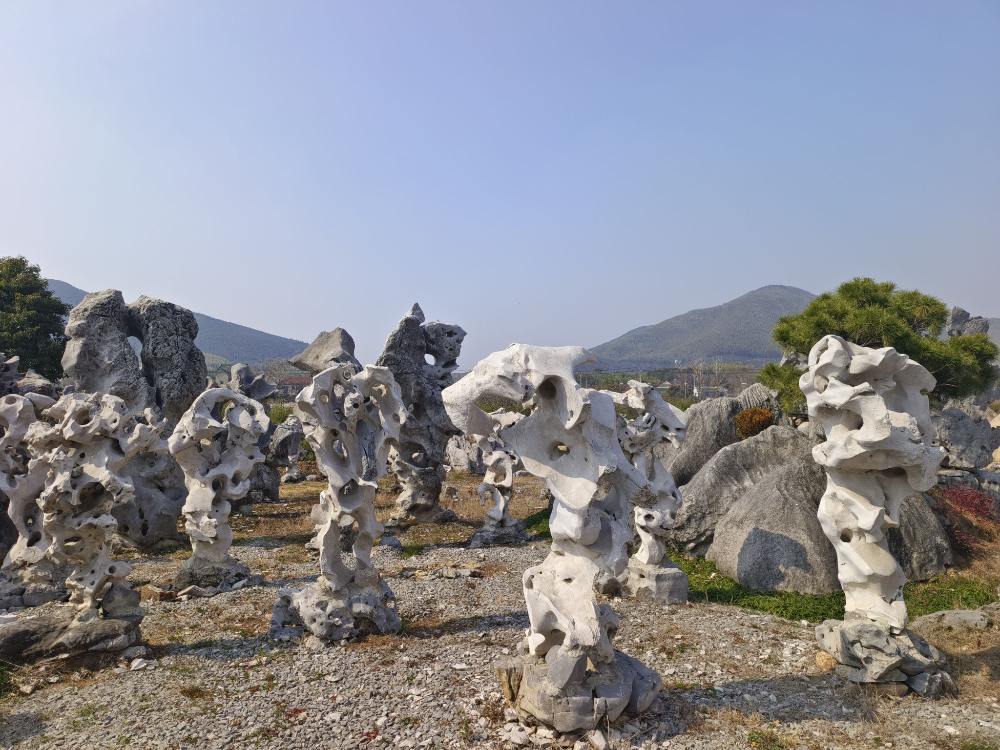 广德石博园旅行图片 3