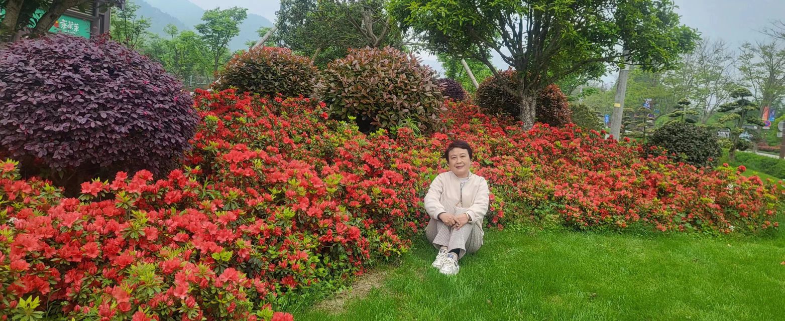 长兴四月天杜鹃花园旅行图片 2