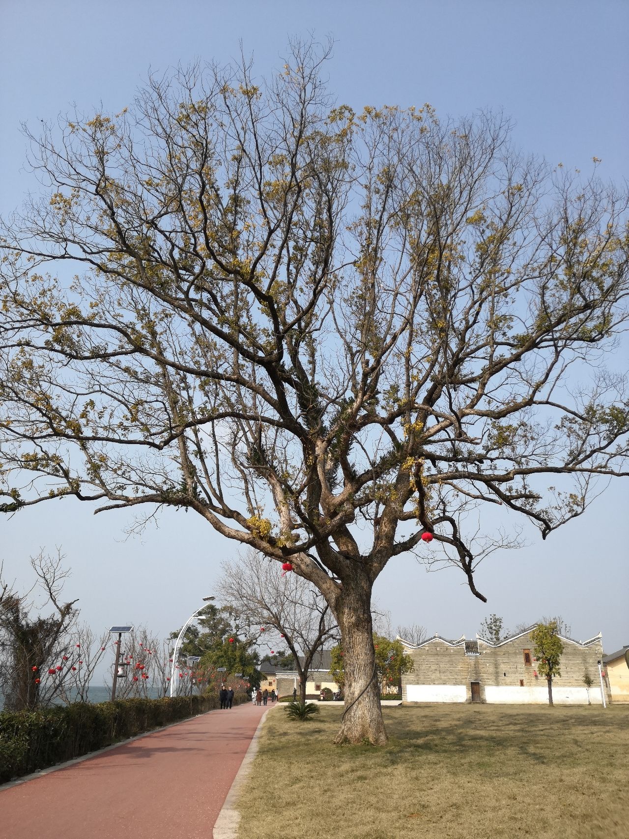 阳光沙滩旅行图片 2