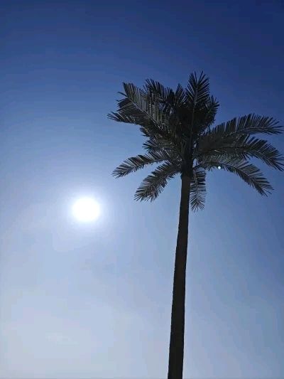 阳光沙滩旅行图片 1