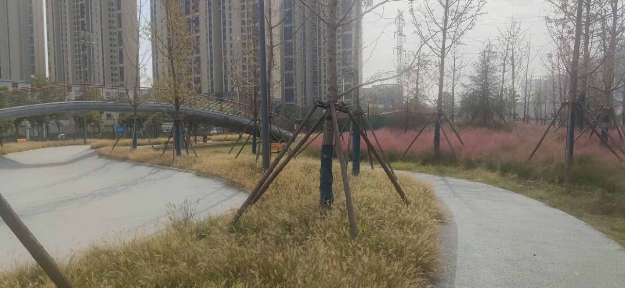 硚口滑板公园旅行图片 1