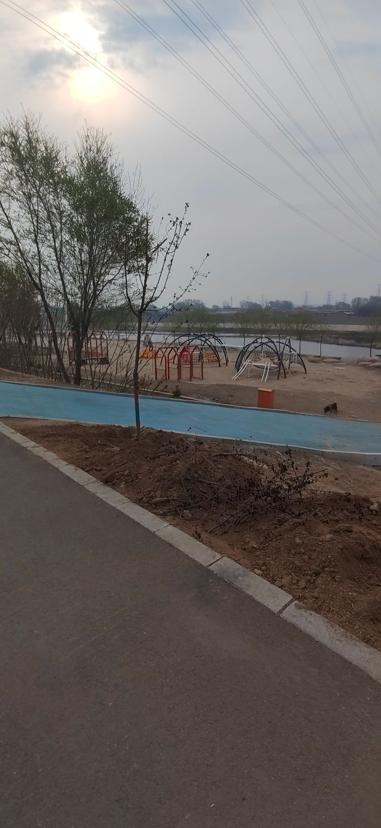 细河区体育公园旅行图片 3
