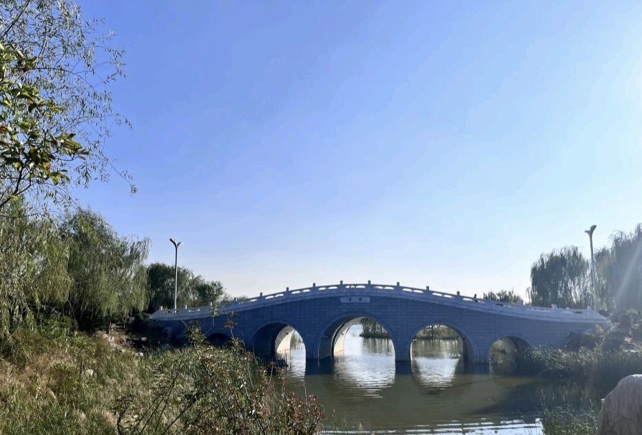 唐山花海北区旅行图片 2