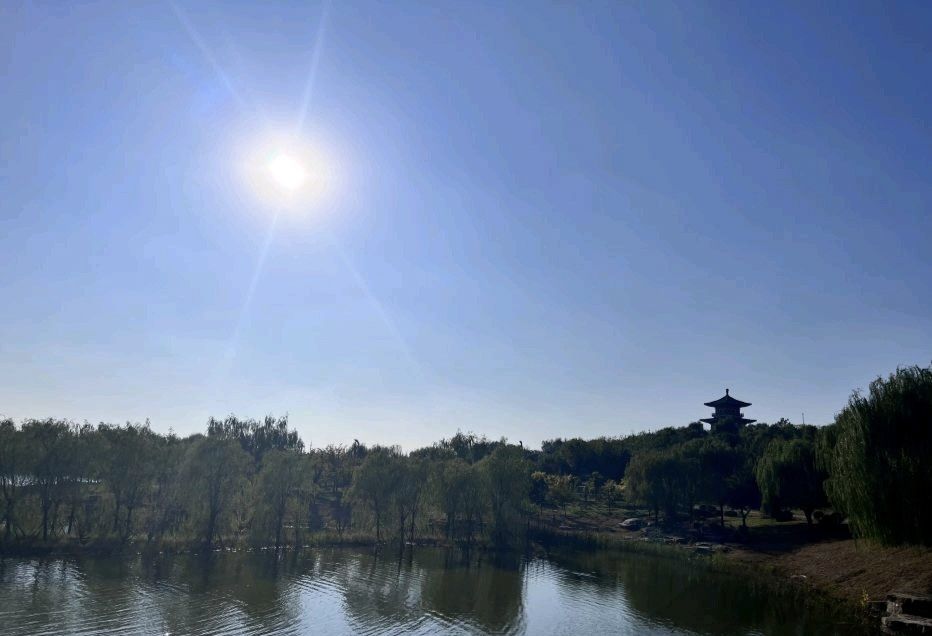 唐山花海北区旅行图片 3