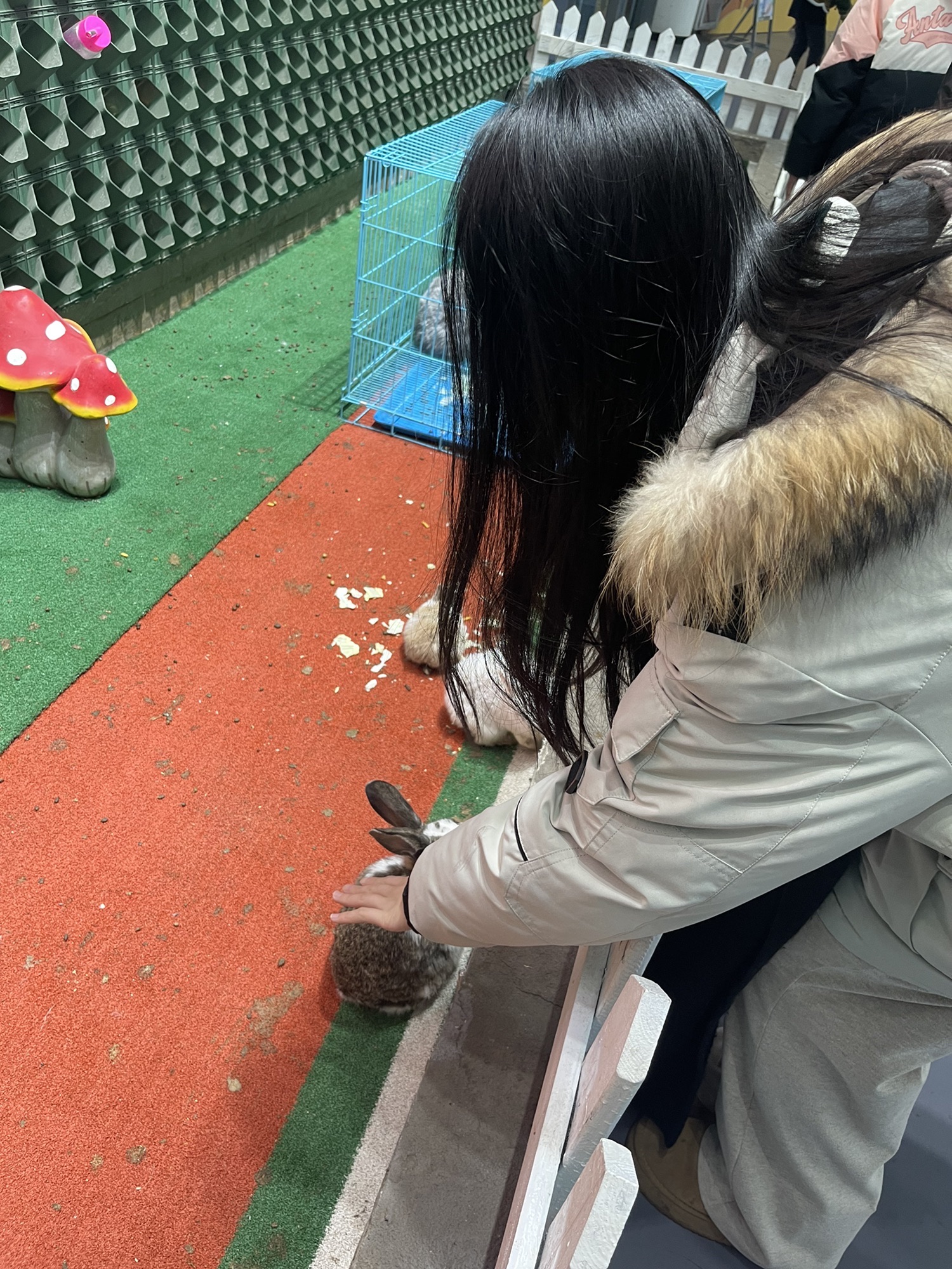 唐山花海北区旅行图片 3