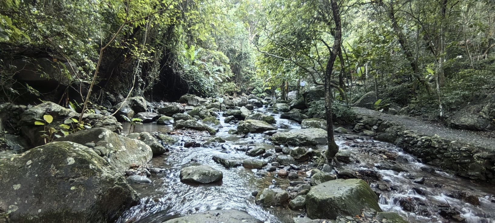 万绿谷天坑瀑布旅行图片 2