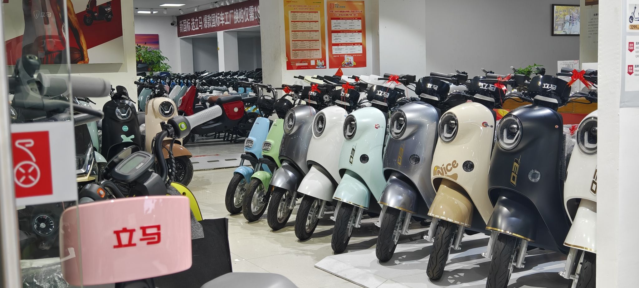 九号电动车(丽水店)