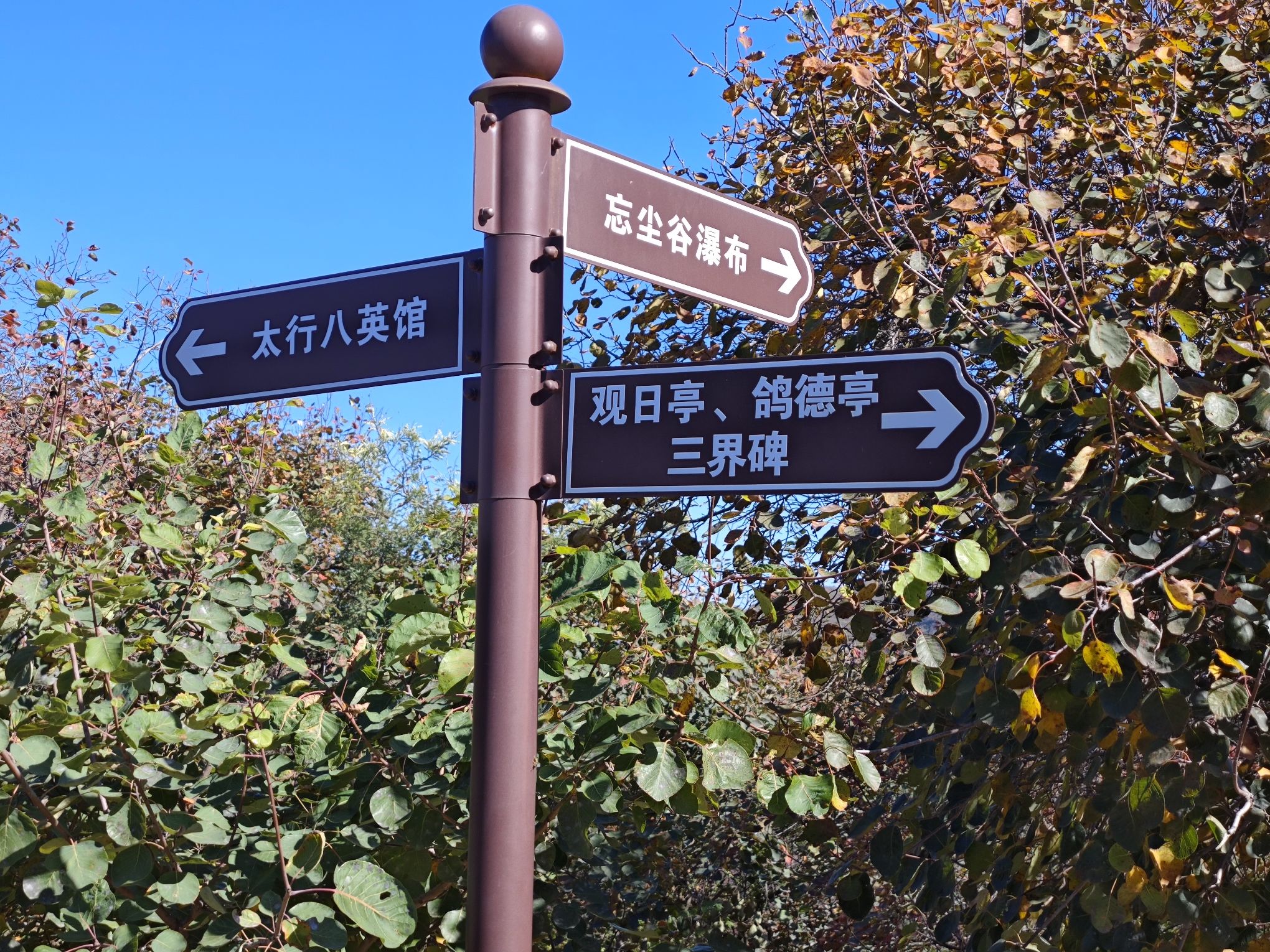 八英广场旅行图片 1