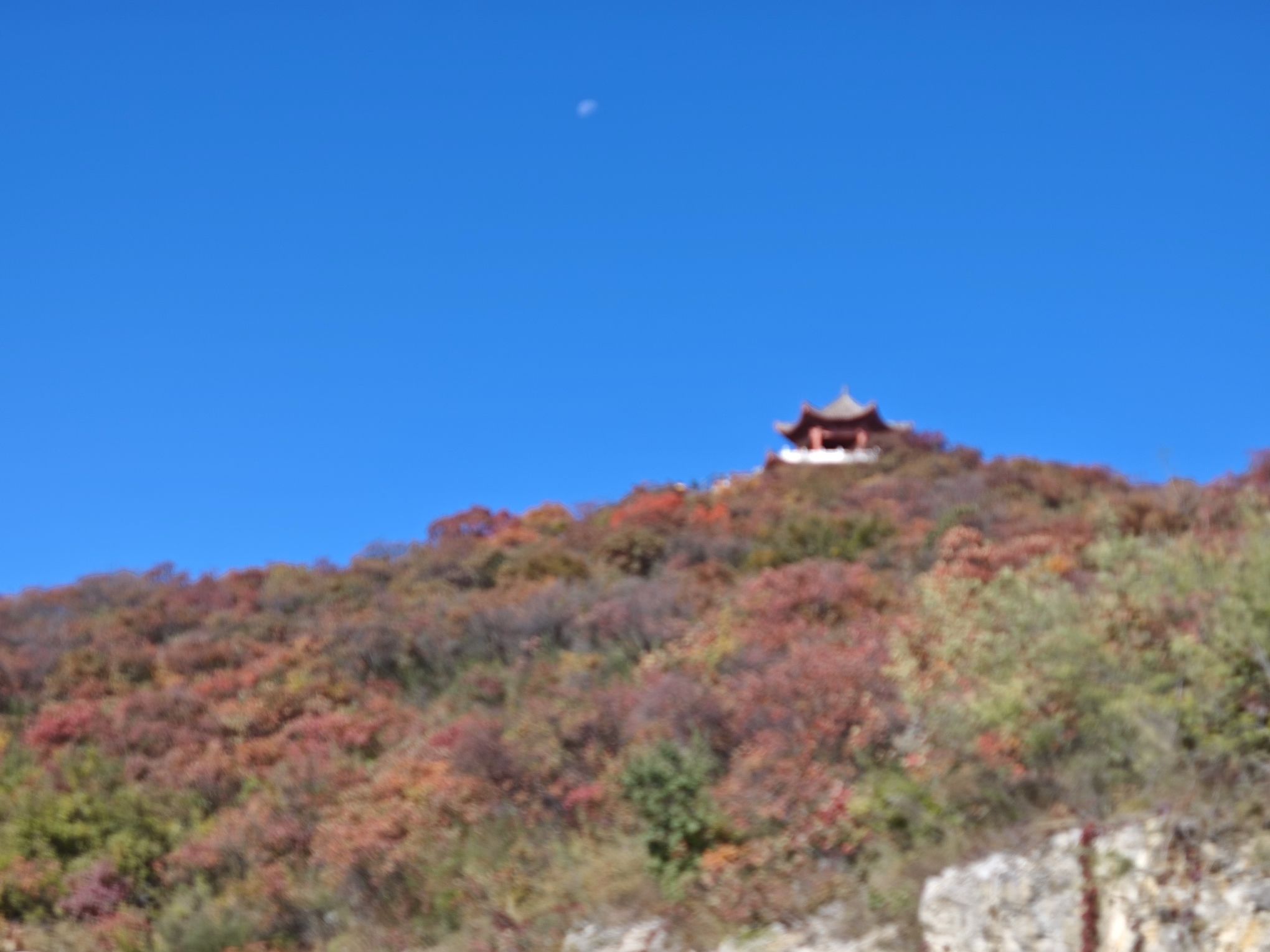 八英广场旅行图片 2