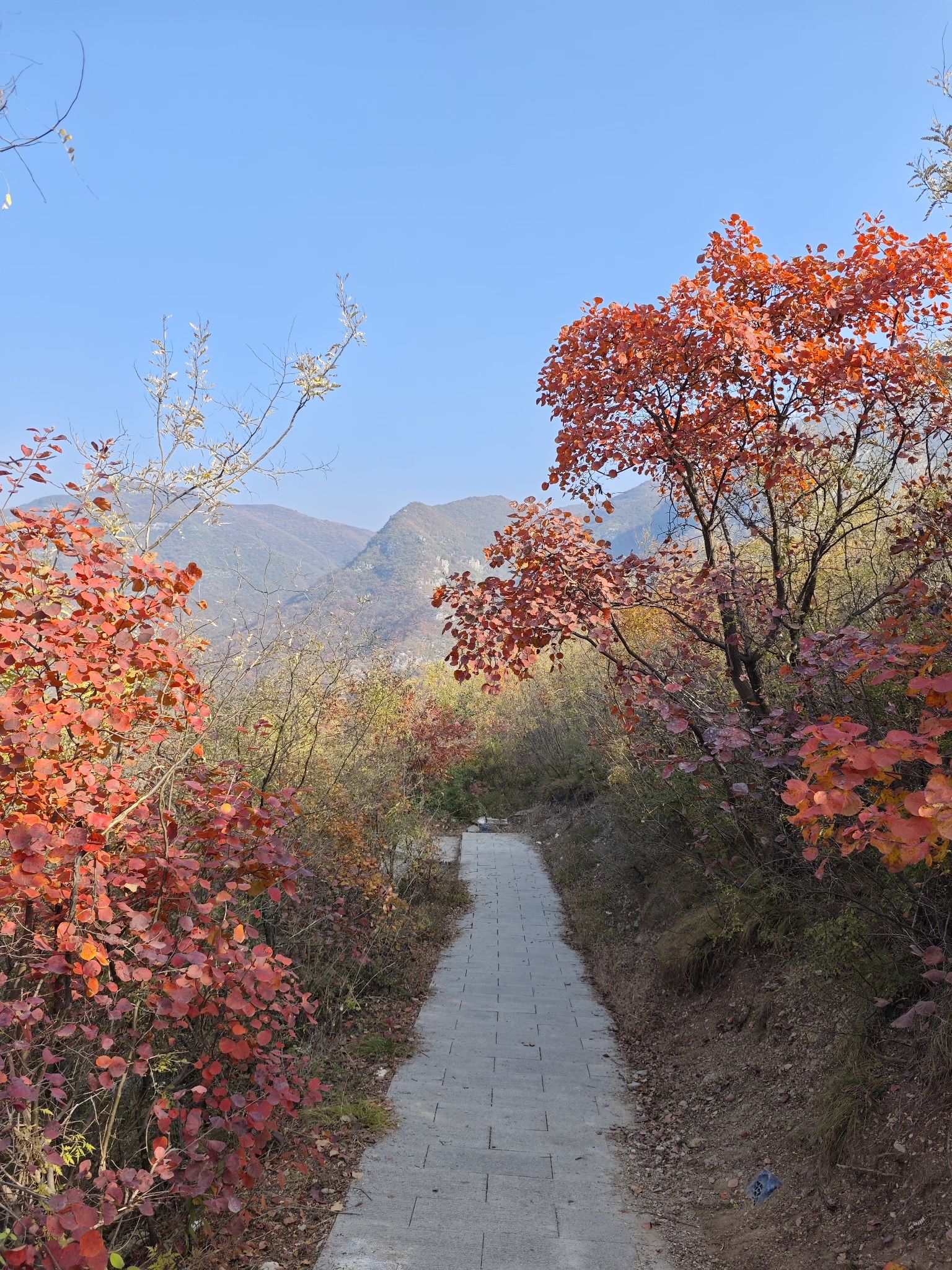 八英广场旅行图片 3