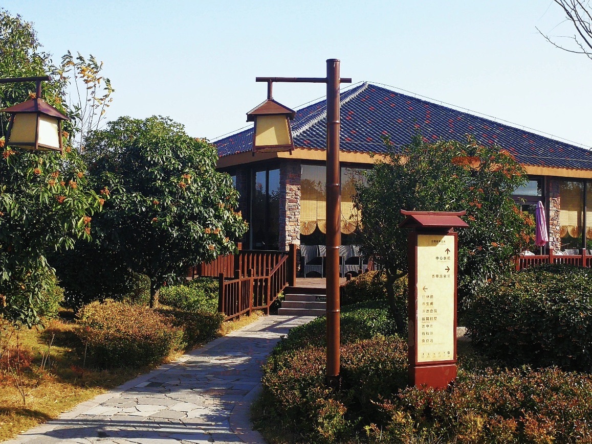 金雨玫瑰温泉度假区旅行图片 3